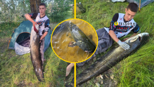 Парень еле вытащил рыбу из воды
