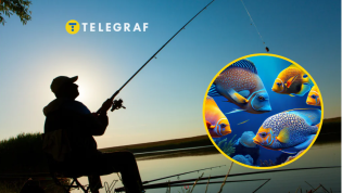 На рыбалке случился необычный улов