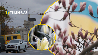 Харьков окажется между теплом и холодом