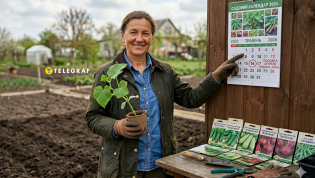 Фермер советует не спешить с посевом огурцов, кабачков и свеклы