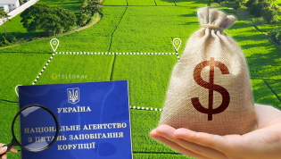 Проверка деклараций. Фото Коллаж "Телеграфа"