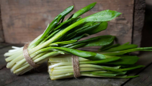 Черемша растет каждая на отдельном стебле