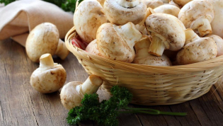 Свежие шампиньоны