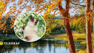 Теплая погода