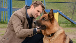 Сериал "Мухтар. Новый след"