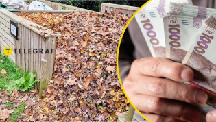 Весенняя привычка, которая может уничтожить природу