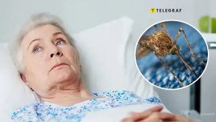 Паразитарная болезнь может поражать не только людей