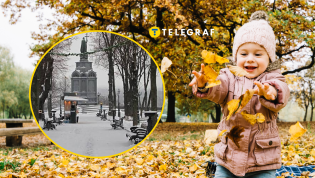 Осень обещает быть теплой