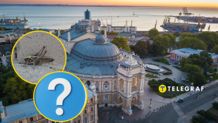Улицы областного центра наполнились насекомыми