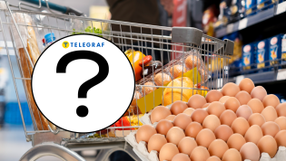 Этот секретный шифр на скорлупе может быть подсказкой