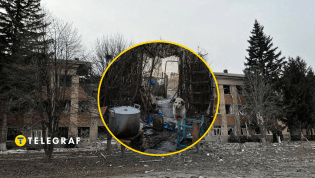 От российской агрессии страдают также четырехлапые