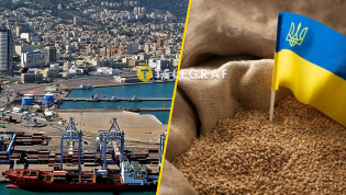 Это не первый корабль с зерном с оккупированных территорий Украины, которые хотели разгрузить в Хайфе