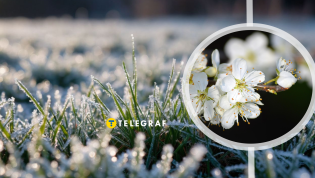 В Украине обещают минусовую температуру