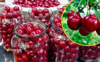 Вишня в собственном соку: как сохранить вкус свежесорванной ягоды на всю зиму
