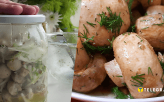 Даже ждать не нужно: маринованные шампиньоны, которые можно есть сразу после приготовления (видео)