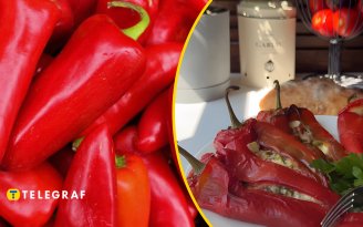 Фаршированный перец по-новому: блюдо, после которого забудется привычный рецепт (видео)