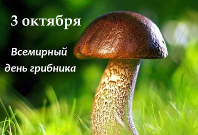 Лавка Коллекционера - Открытка. Грибники. г.