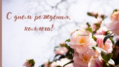 поздравления с днем рождения коллеге