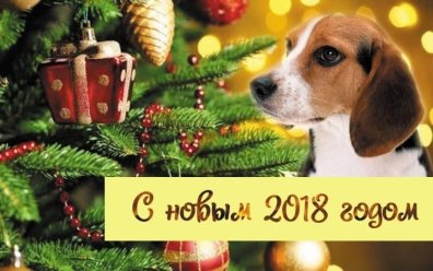 Поздравление С Новым Годом 2022 Собаки
