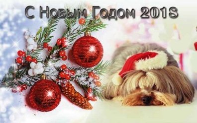 Поздравление С Новым Годом 2022 Собаки