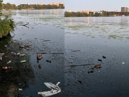 Воронезьке водосховище