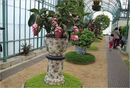 Для настоящих королей