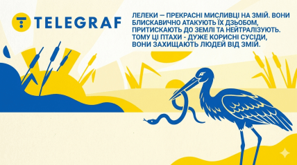 Лелеки харчуються зміями