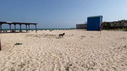 Пляжи оккупированной Кирилловки