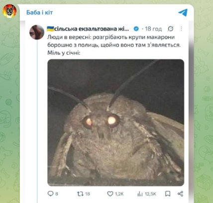 Мем про міль