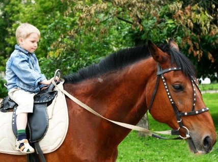 Иппотерапия: как вылечить ребенка с помощью верховой езды? - изображение №1