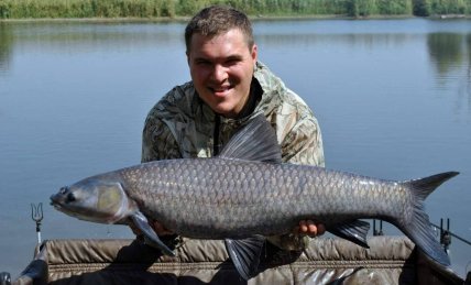 Рыба черный амур