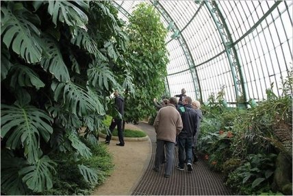 Наслаждение цветами