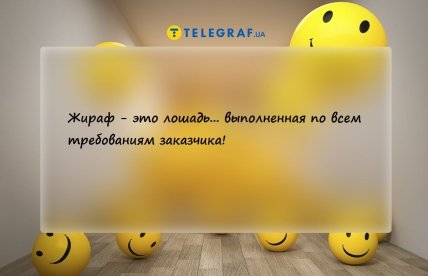 анекдот про заказчика