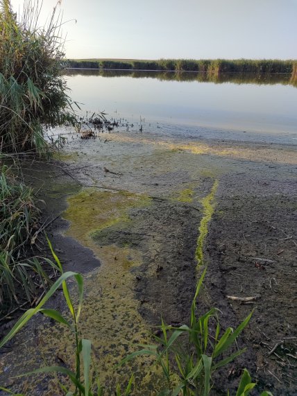 Стан річки Кодими зараз
