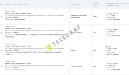 Декларація Ярослава Купчик