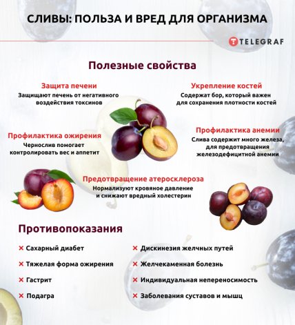 Польза и вред слив