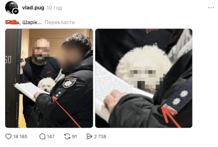 Мемы о собаке с заблюренной мордой