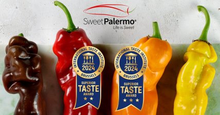 Болгарський перець Солодкий Палермо