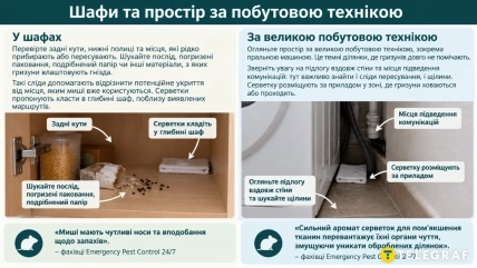 Осмотр шкафов и пространства за техникой помогает обнаружить следы грызунов