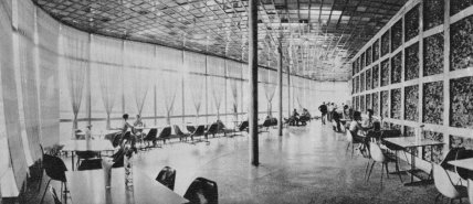 Кафе Льдинка