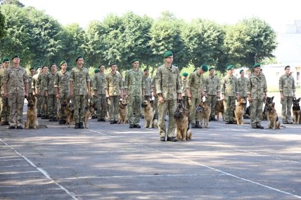В День Независимости Украины в параде будут участвовать собаки пограничников