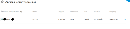 Номери Skoda Kodiaq 2024 р.в.