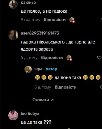 Комментарии пользователей