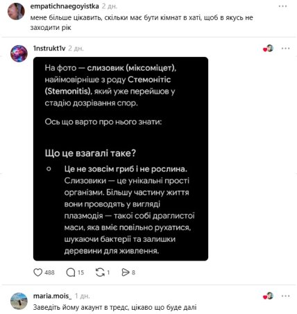 Коментарі користувачів
