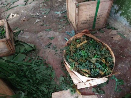 Теребовлянська фабрика ялинкових прикрас