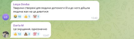 Декого з українців обурило поводження з тваринами на фестивалі