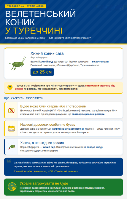 Большую саранчу увидели в городе Диярбакыр, Турция