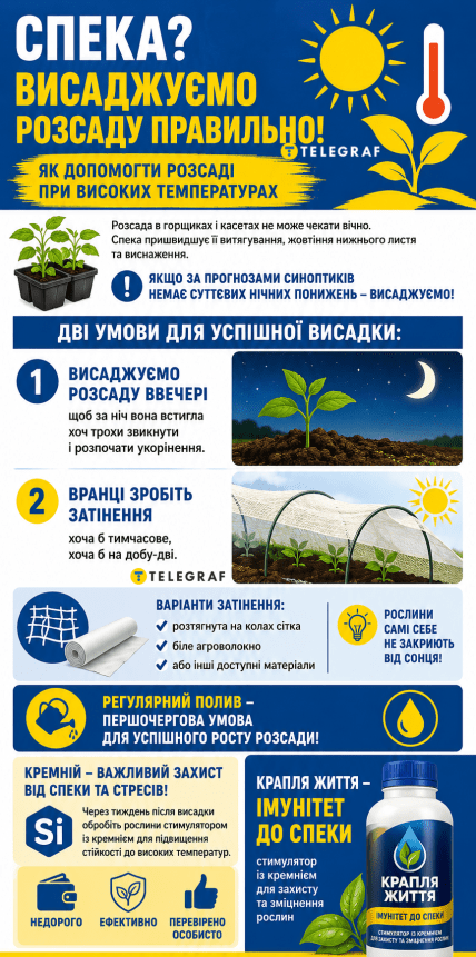 Как правильно сажать растения в жару