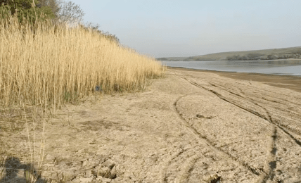 Вільхівське водосховище