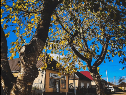 Село Серне, Закарпатська область